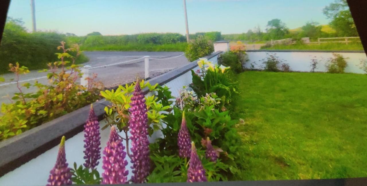 Cozy Cottage Retreat In Listowel Pet Friend מראה חיצוני תמונה